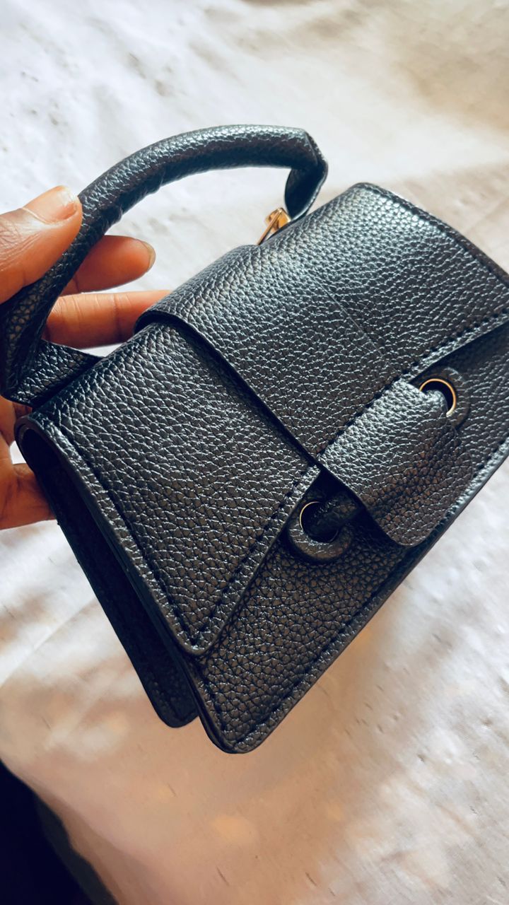 Mini Zara bag