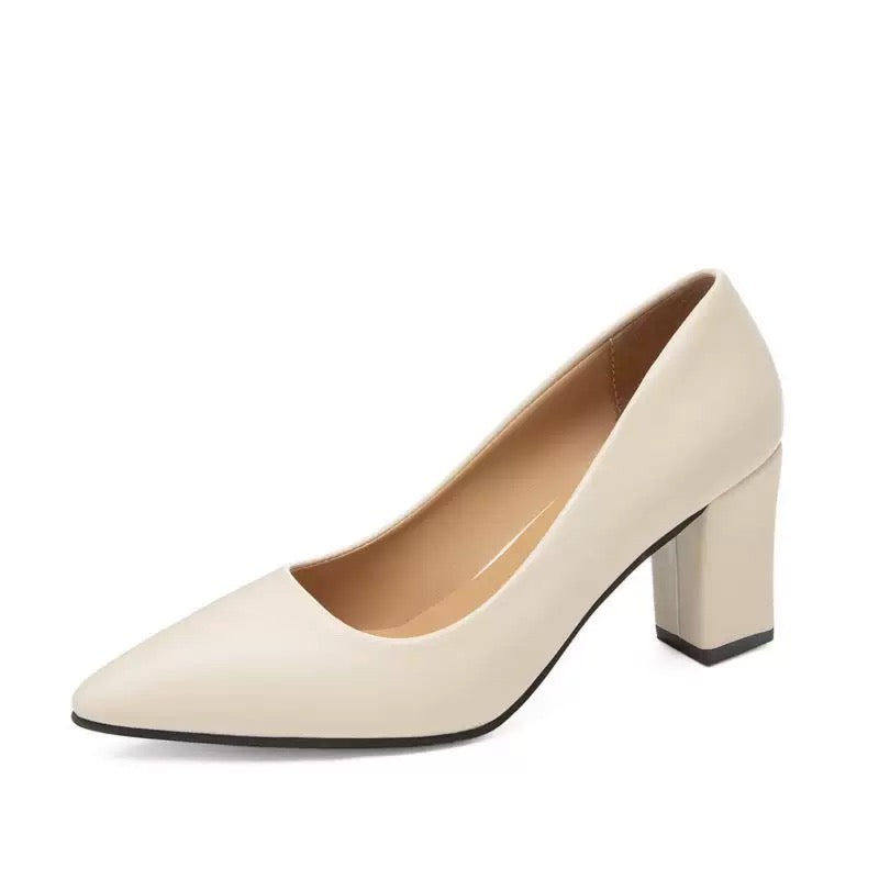 Women's pointed-toe block heels